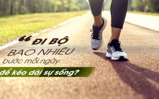 Đi bộ mỗi ngày bao nhiêu bước là đủ? Nhiều người vẫn lầm tưởng mà không hề biết