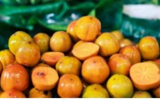 Người phụ nữ tắc ruột sau khi ăn quả hồng: Ai không nên ăn hồng ngâm?