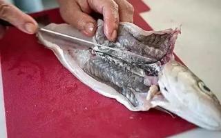 Những loại cá không nên ăn vì chứa nhiều thủy ngân, dễ nhiễm độc