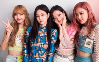 Bộ Văn hoá yêu cầu giải trình vụ tranh cãi bản quyền show BlackPink