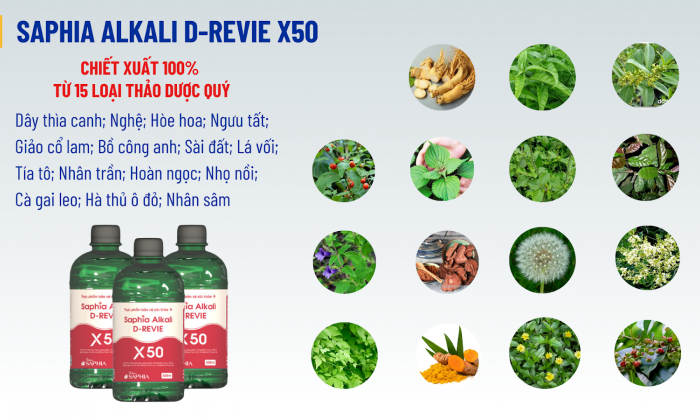 6 LỢI ÍCH KHI SỬ DỤNG KIỀM SAPHIA